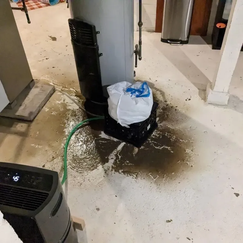Sewage Backup Cleanup Service in Pine Grove, PA